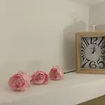Peonia 3*