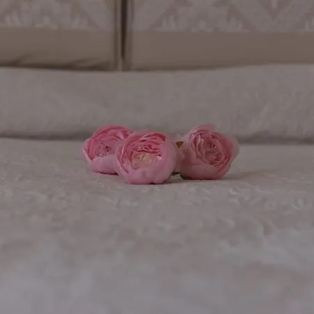 Peonia Bed & Breakfast