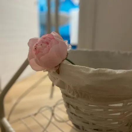 Peonia B&B 오르고솔로