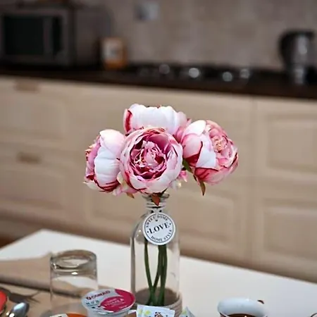Peonia Orgosolo