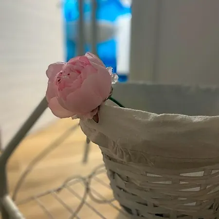 Peonia