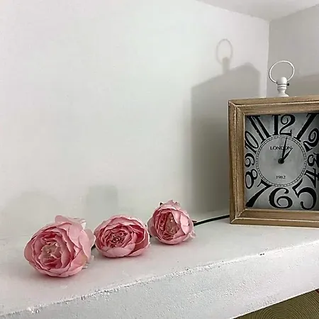 Peonia Orgosolo