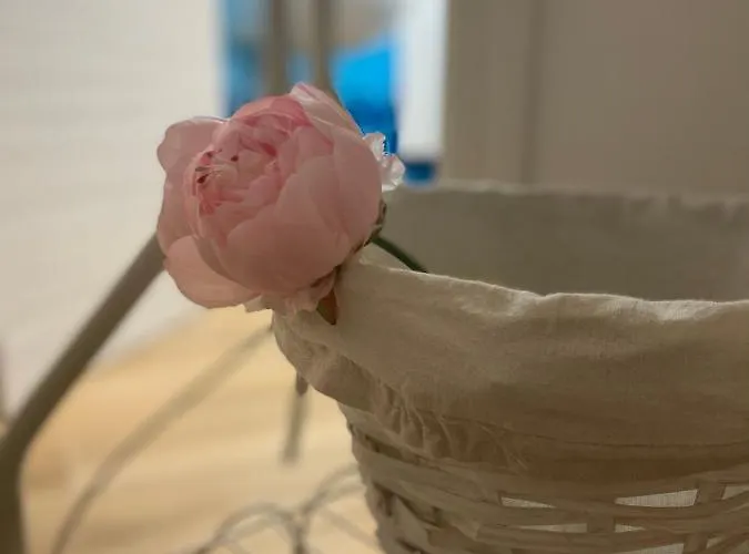 Peonia ベッド・アンド・ブレックファスト オルゴーゾロ